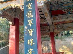 -紫霞湖公园