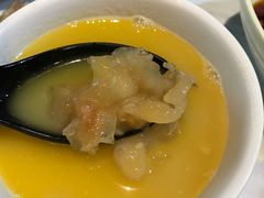 -鲜入围煮花胶鸡海鲜火锅