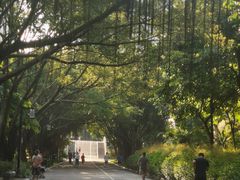 -南宁南湖公园