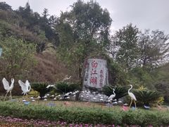 -广州白江湖森林公园