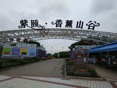 -紫颐香薰山谷景区