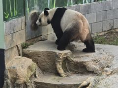 -南昌动物园