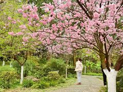 -南山植物园