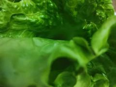 -额尔敦牛厨师铜板烧