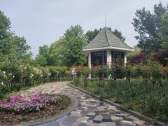 -上海鲜花港