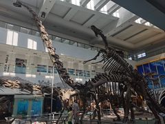 -中国地质大学逸夫博物馆