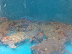 -名超海鲜烧烤大排档