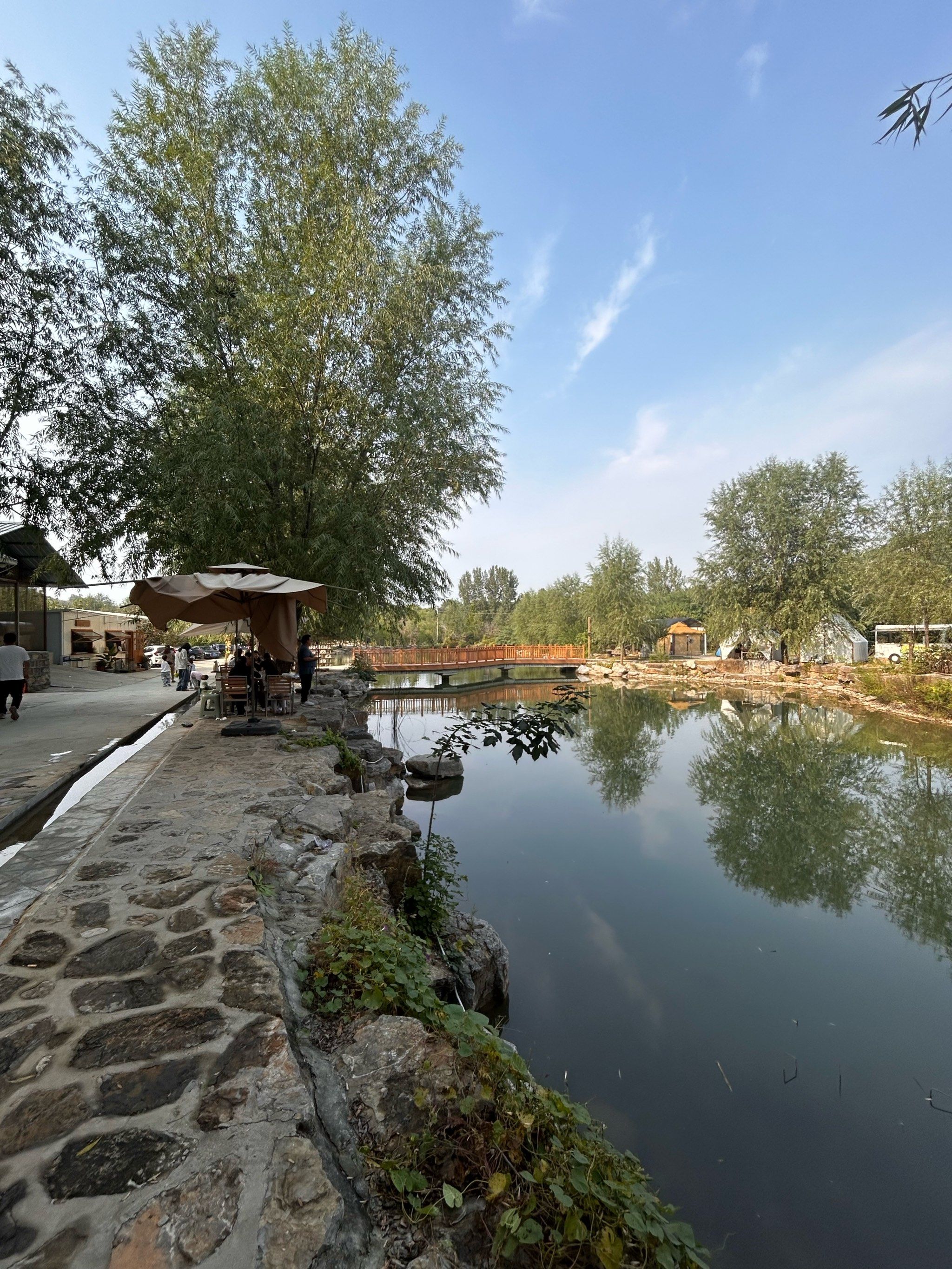 菜品口味不错,鸡汤好喝,鸡肉还可以干煸