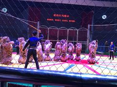 -西安秦岭野生动物园