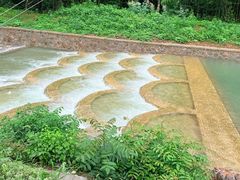 -大唐贡茶院
