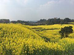 -樱桃山旅游景区