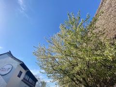 -相门城墙文化休闲景区