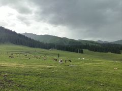 -新疆那拉提国家旅游度假区