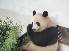 -杭州动物园