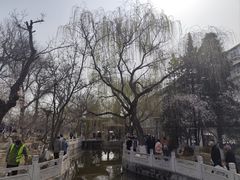 -桃花堤公园