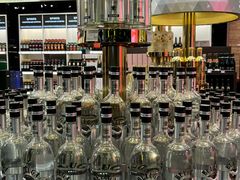 -谢列梅捷沃国际机场