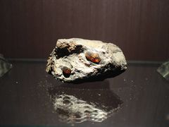 -抚顺煤矿博物馆