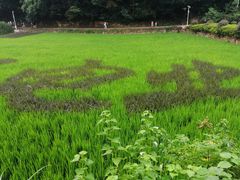 -韶山毛泽东同志故居