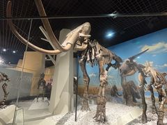 -国家自然博物馆