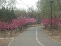 -马家湾湿地公园
