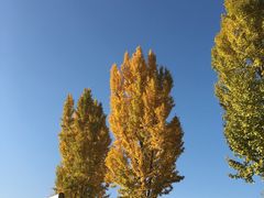 -崇德楼水盆牛羊肉泡馍馆(文艺路店)