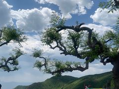 -妙峰山风景名胜区