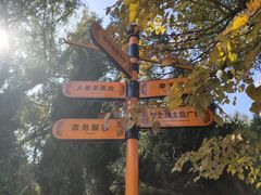-哈尔滨文化公园
