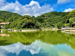 -广州市帽峰山景区