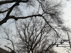 -北京国子监胡同