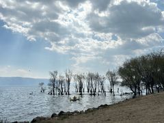 -大理洱海