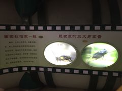 -上海昆虫博物馆