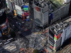 -涩谷全向十字路口