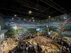 -自贡恐龙博物馆