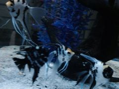 iphone_upload_pic-台州海洋世界