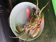 -仙本那渔人码头餐厅