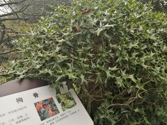 -南山植物园
