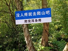 -鹿院坪生态旅游景区
