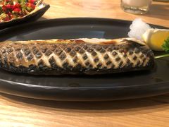 -一本钓鲔鱼屋