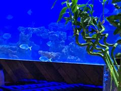 -暹罗酒肆泰餐厅酒吧