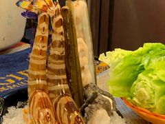 -鲜入围煮花胶鸡海鲜火锅