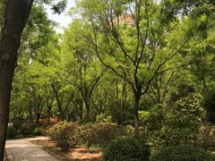 -唐城墙遗址公园
