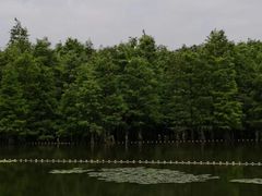 -宝岩生态观光园