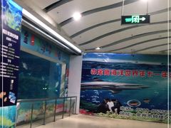 -常州海昌海洋探索馆