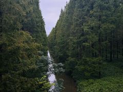 -黄海国家森林公园