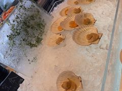 -济南凯宾斯基酒店-THE VIEW云景全日制餐厅
