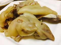 -丁老爷子苏香圆