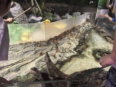 -正佳雨林生态植物园