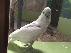 -石家庄市动物园