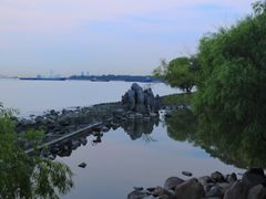 -上海吴淞炮台湾国家湿地公园
