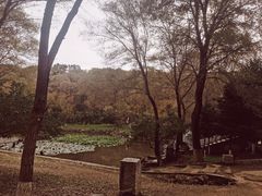 -高尔山公园